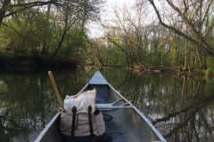 Out on the Creek