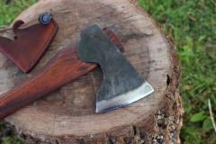 Chestnut-Trekker2