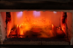 In-the-Forge