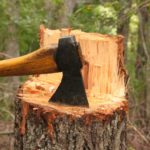 Wolf Valley Axe