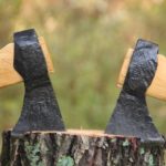 Large Ax1