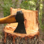 cropped-IMG_9983-1.jpg