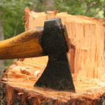 cropped-IMG_9983.jpg
