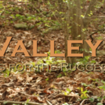 cropped-header8.png