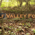 Wolf Valley Forge