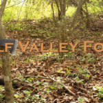 header8