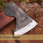 On the Blog 11-14-23