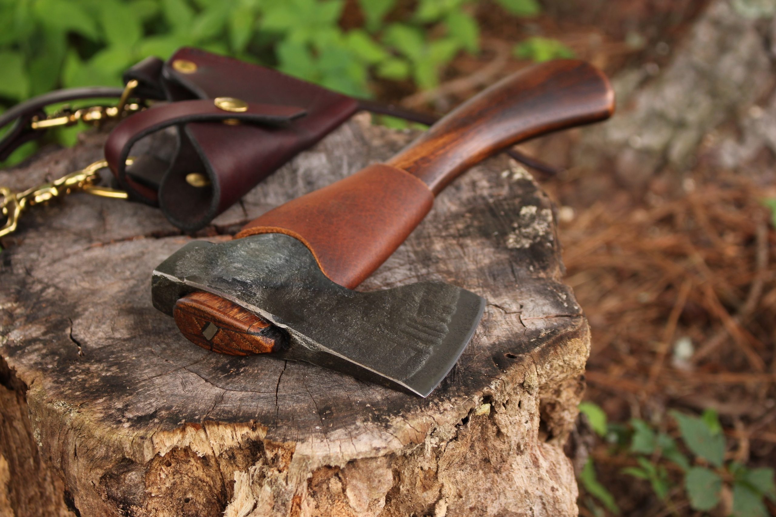 Michael’s Chocolate Brown Timber Pup