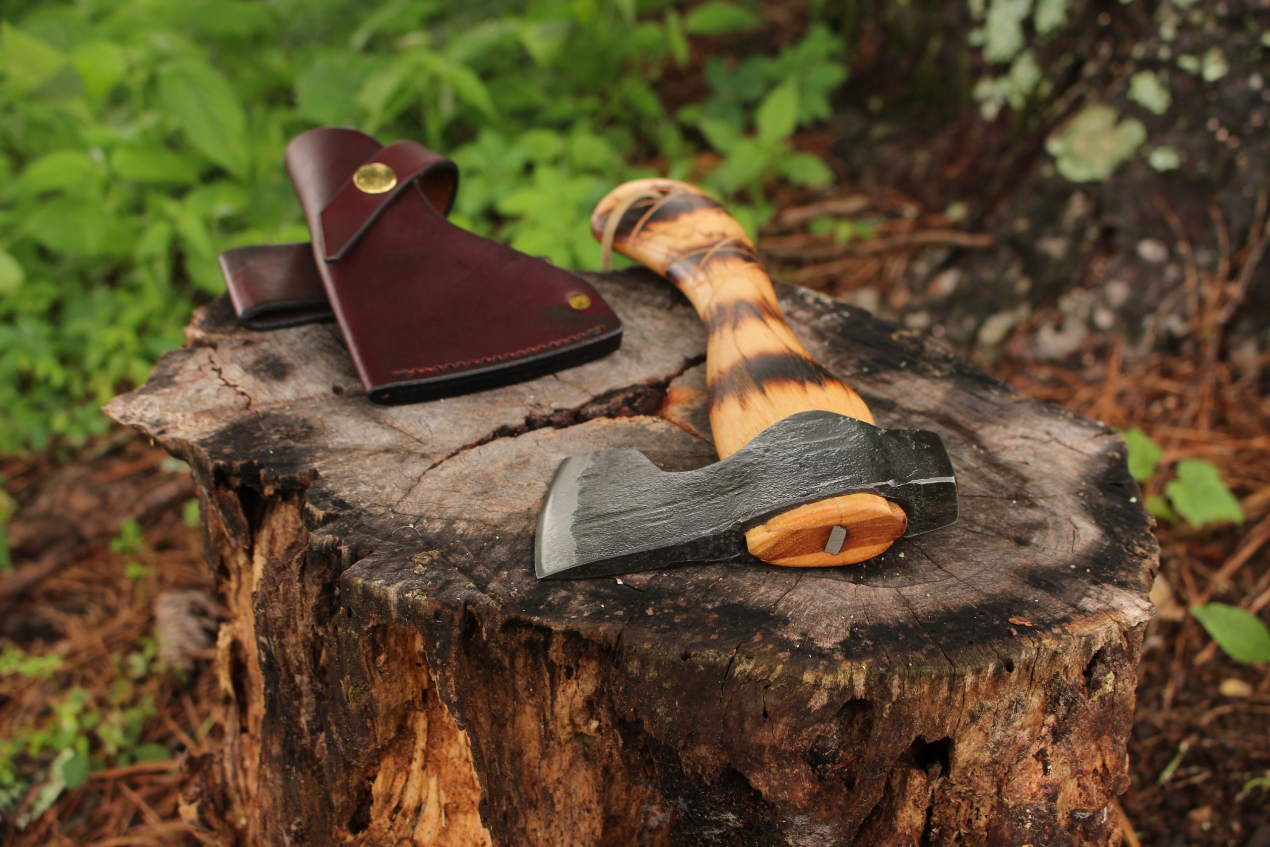 Richard’s Timber Pup