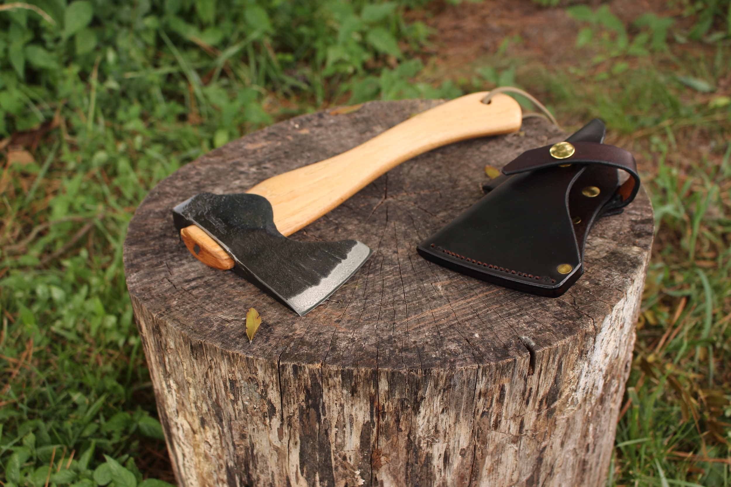 Richard’s Timber Pup